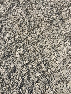 �B�\�o�̼�